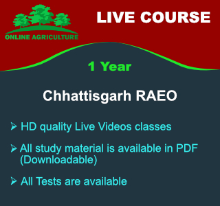 Chhattisgarh RAEO