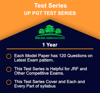 UP PGT TEST SERIES